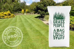 All Rounder Grass Seed