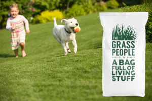 FAMILY: Kids and Pets Grass Seed