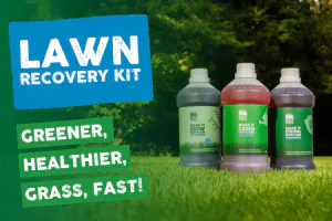 Lawn Recovery Kit
