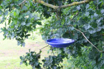 Cobalt Hanging Bird Bath - 2