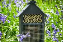 Multi Bee & Bug Mansion - 1