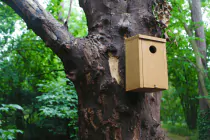 Snuggler Nest Box - 2