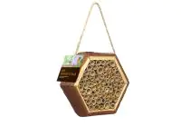 Bee Honeycomb - 2