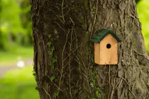 Cosy Bird Nest Box - 3
