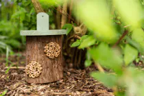 Rustic Insect House - 3