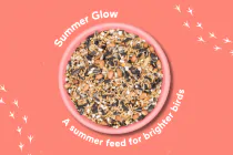 Summer Glow High Energy Mix - 3