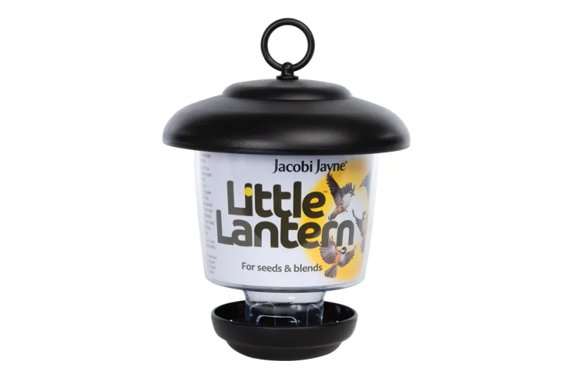 Little Lantern