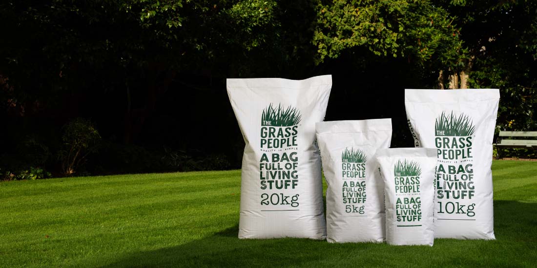Best grass seed mixes for UK lawns 2024