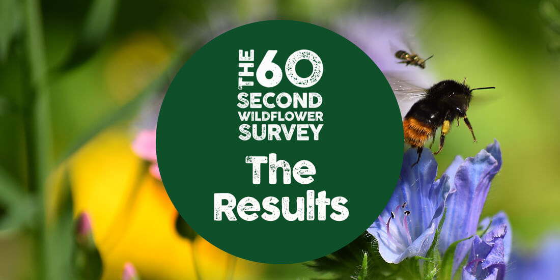 The UK goes wild for our wildflower survey!