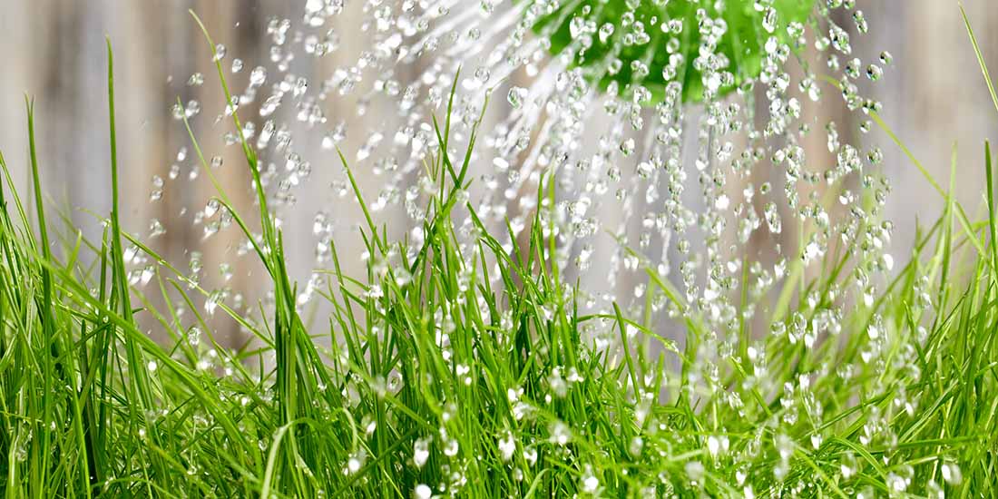 Benefits of using liquid fertiliser