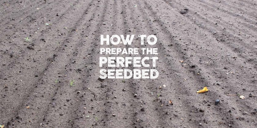 How to prepare the perfect seedbed