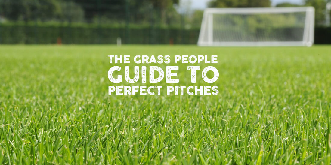 How to manage your sports pitch
