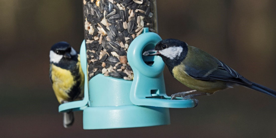 Why our bird feeders come with guarantees