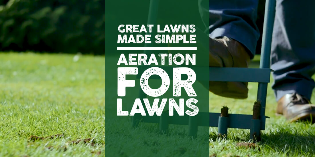 Great Lawns Made Simple: Aeration for lawns
