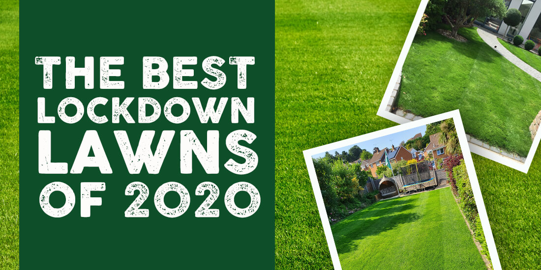 The Best Lockdown Lawns of 2020!