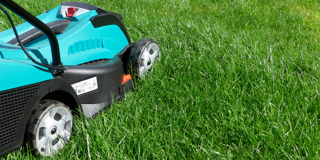 How to mow a new lawn for the first time