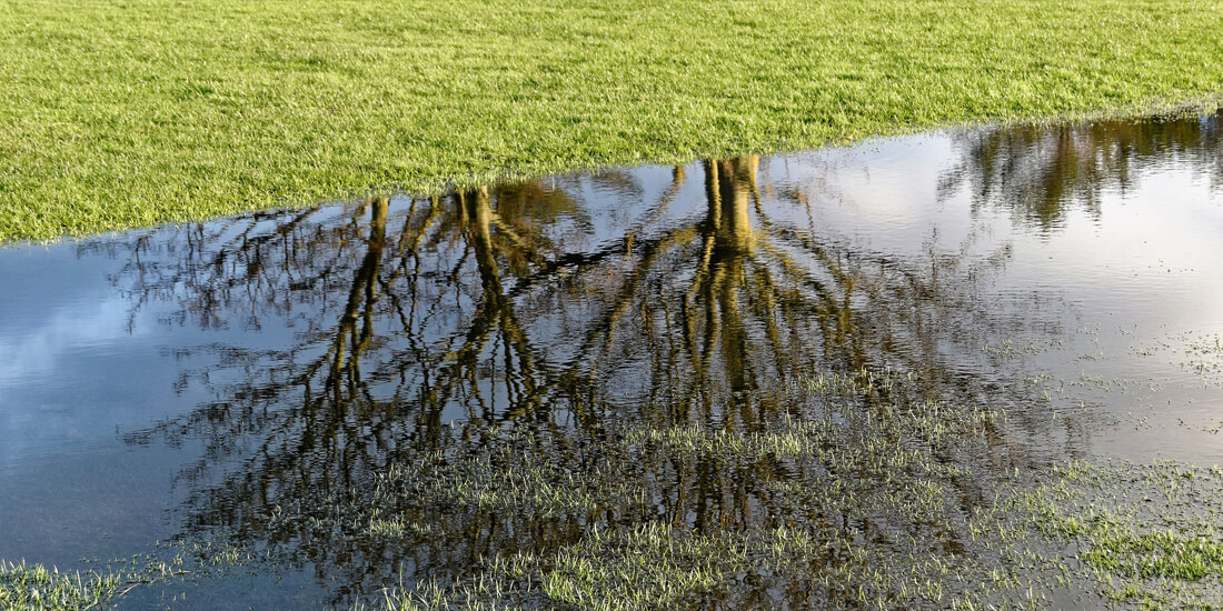 How to flood proof your lawn