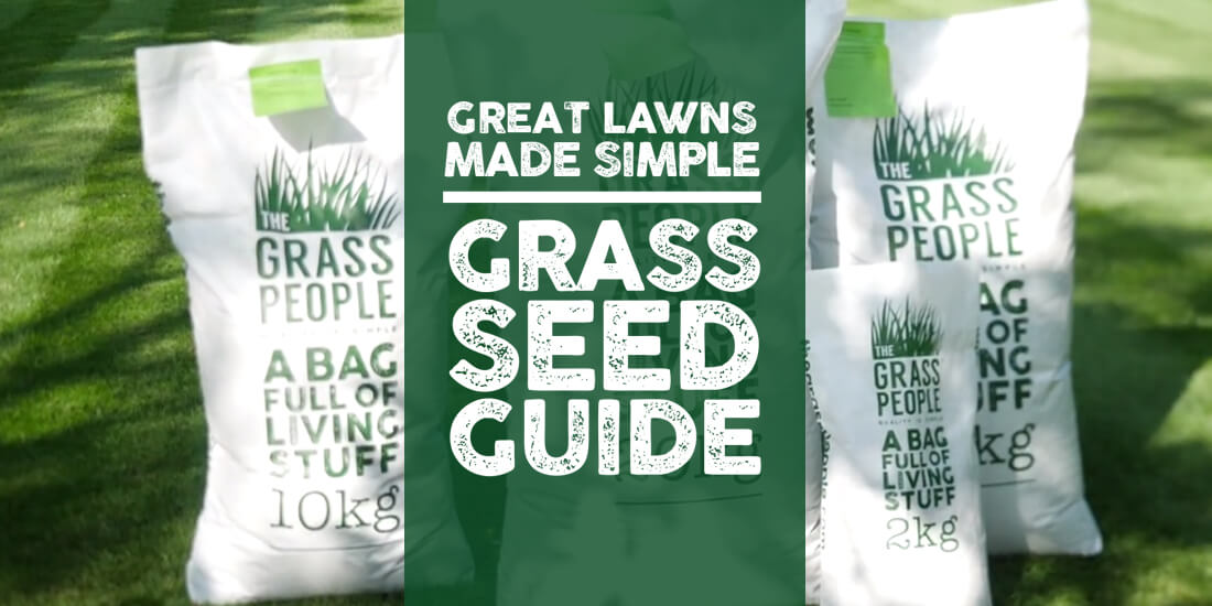 Great Lawns Made Simple: Grass seed guide