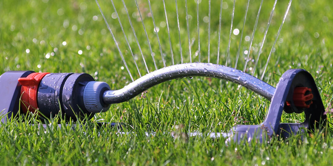 How to care for your lawn in a heatwave
