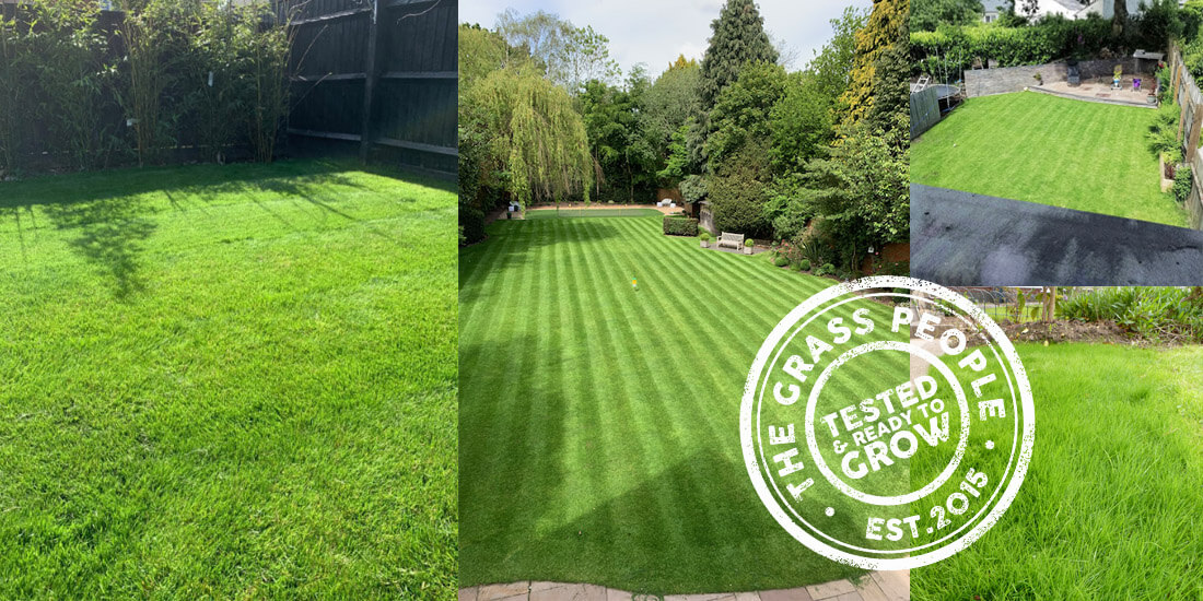 The best lawns of summer 2019!