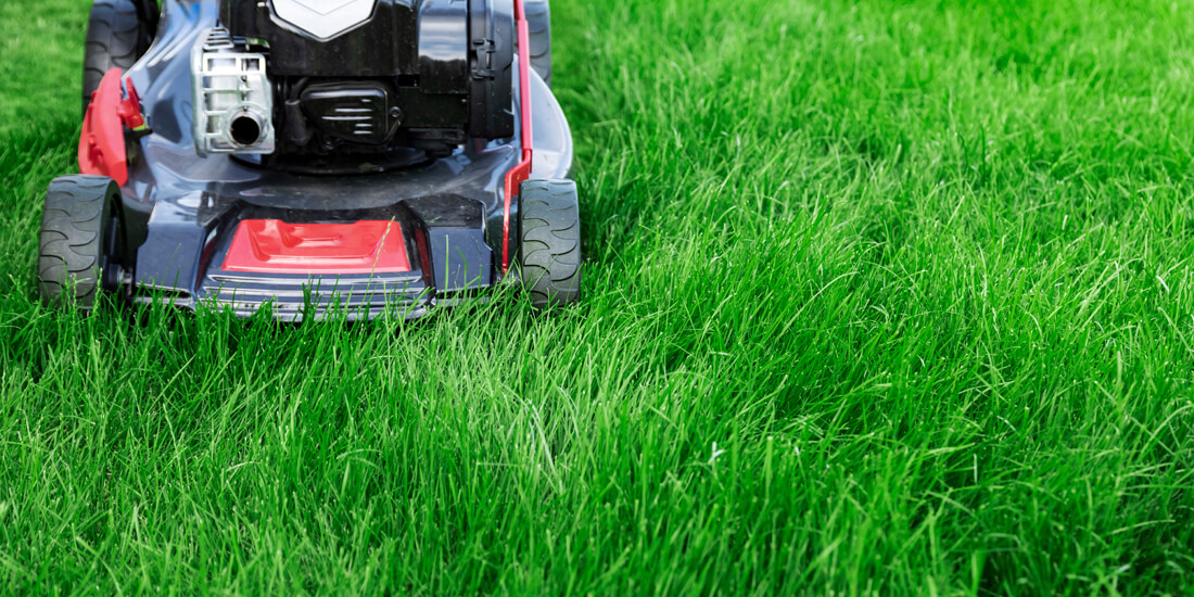 How to mow grass in summer