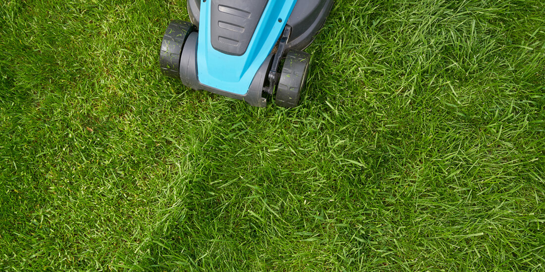 When should I start mowing in the UK?
