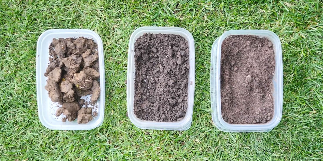 Grass seed for different soil types