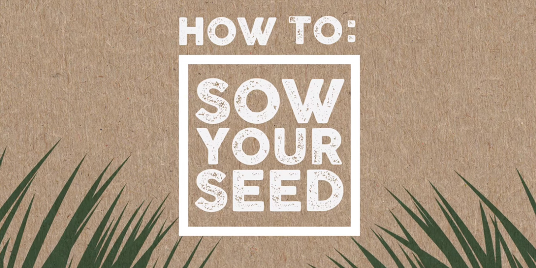 How to: Sow your seed