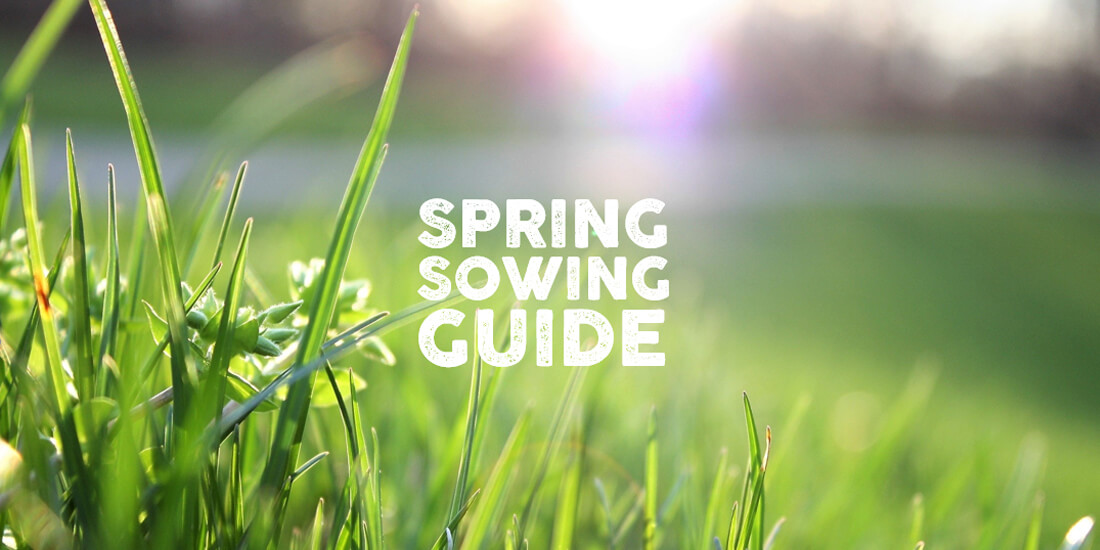 Spring sowing guide 2019: Prep, set and go!