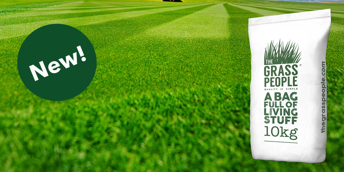 Become a SUPERSTAR at home with our newest grass seed!