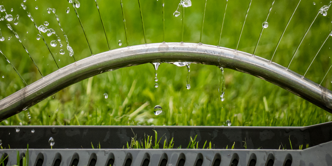 How often should I water my lawn in summer?