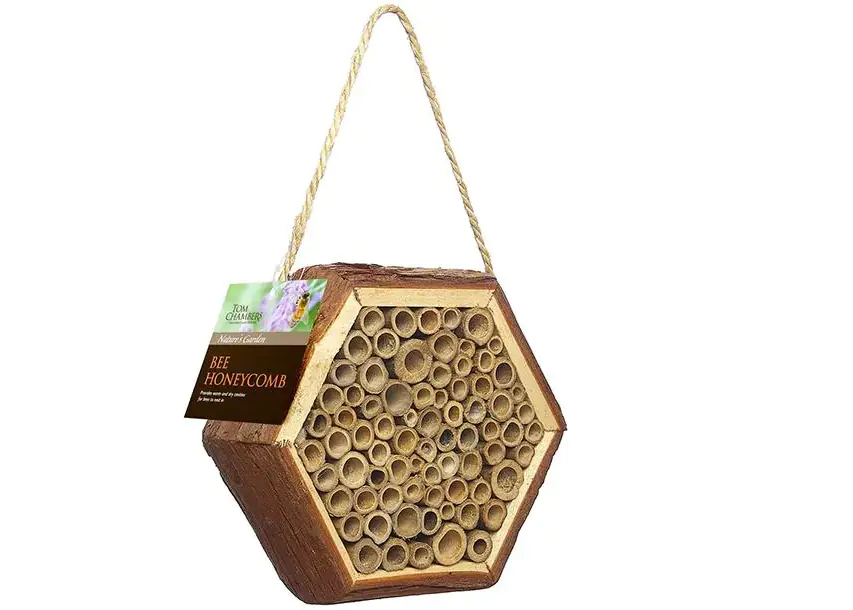 habitat for bees