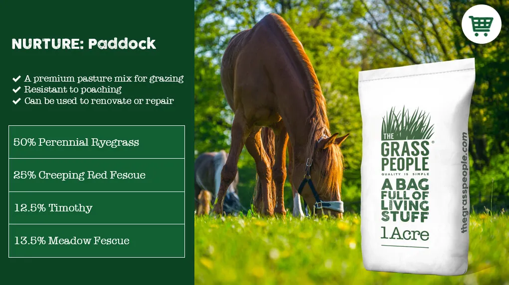 NURTURE: Paddock horse paddock grass seed