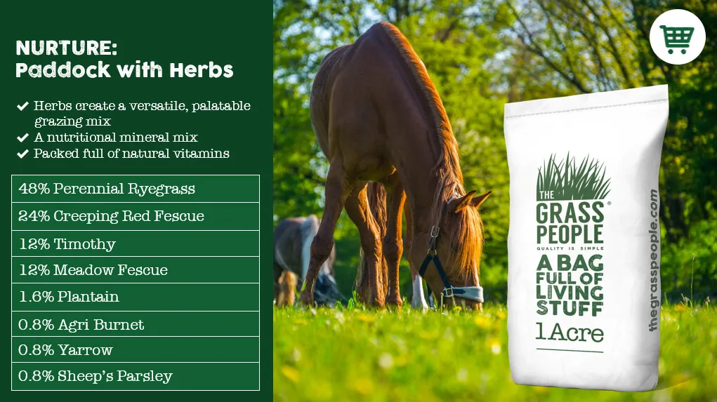 NURTURE: Paddock with herbs horse paddock grass seed