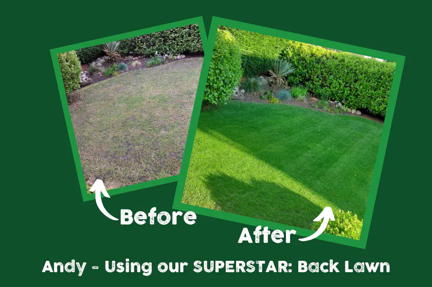 garden lawn before and after images