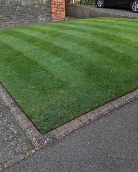 Toms lawn after using our new liquid fertilisers